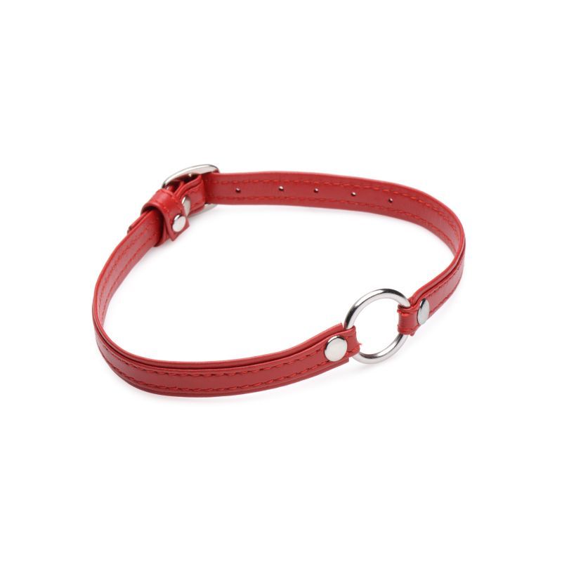 Fiery Pet Leather Choker with Silver Ring in Red > Clothes > Womens Leather - Tophatter Daily Deals