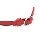 Fiery Pet Leather Choker with Silver Ring in Red > Clothes > Womens Leather - Tophatter Daily Deals