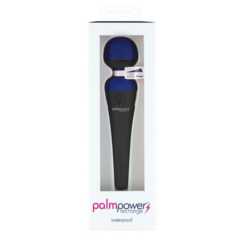 PalmPower Massage Wand Blue - Powerful Vibrator > Sex Toys > Massage Wands - Tophatter Daily Deals