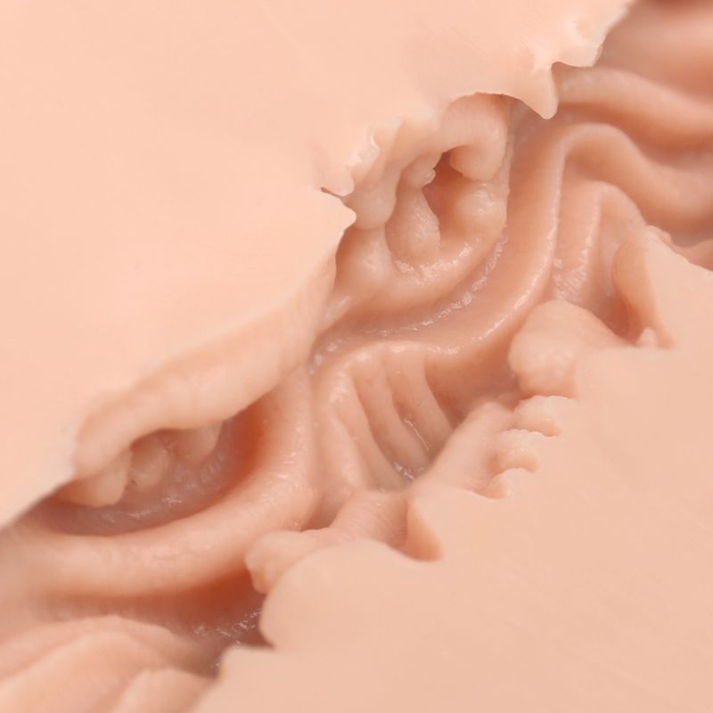 Pussy Masturbator Dani – Realistic Masturbator > Sex Toys For Men > Masturbators Cup - Tophatter Daily Deals