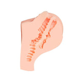 Juicy Butt Masturbator Paula with Textured Features > Sex Toys For Men > Assbators - Tophatter Daily Deals