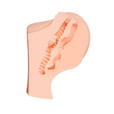Juicy Butt Masturbator Giovanna with Lifelike Design and Textured Tunnels > Sex Toys For Men > Assbators - Tophatter Daily Deals