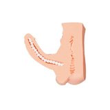 Juicy Long Schlong Manuel – Penis, Anal, and Balls Torso with 19cm Insertable Penis > Sex Toys > Sex Dolls > Premium - Tophatter Daily Deals