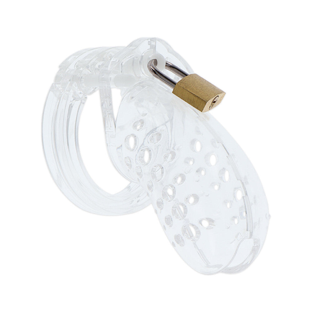 Hidden Desire Extreme Chastity Cock Cage – Secure Penis Gear > Bondage Gear > Male Chastity - Tophatter Daily Deals