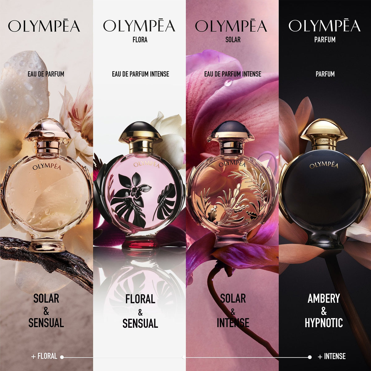 Olympéa Flora Eau De Parfum 50ml Spray - Tophatter Daily Deals