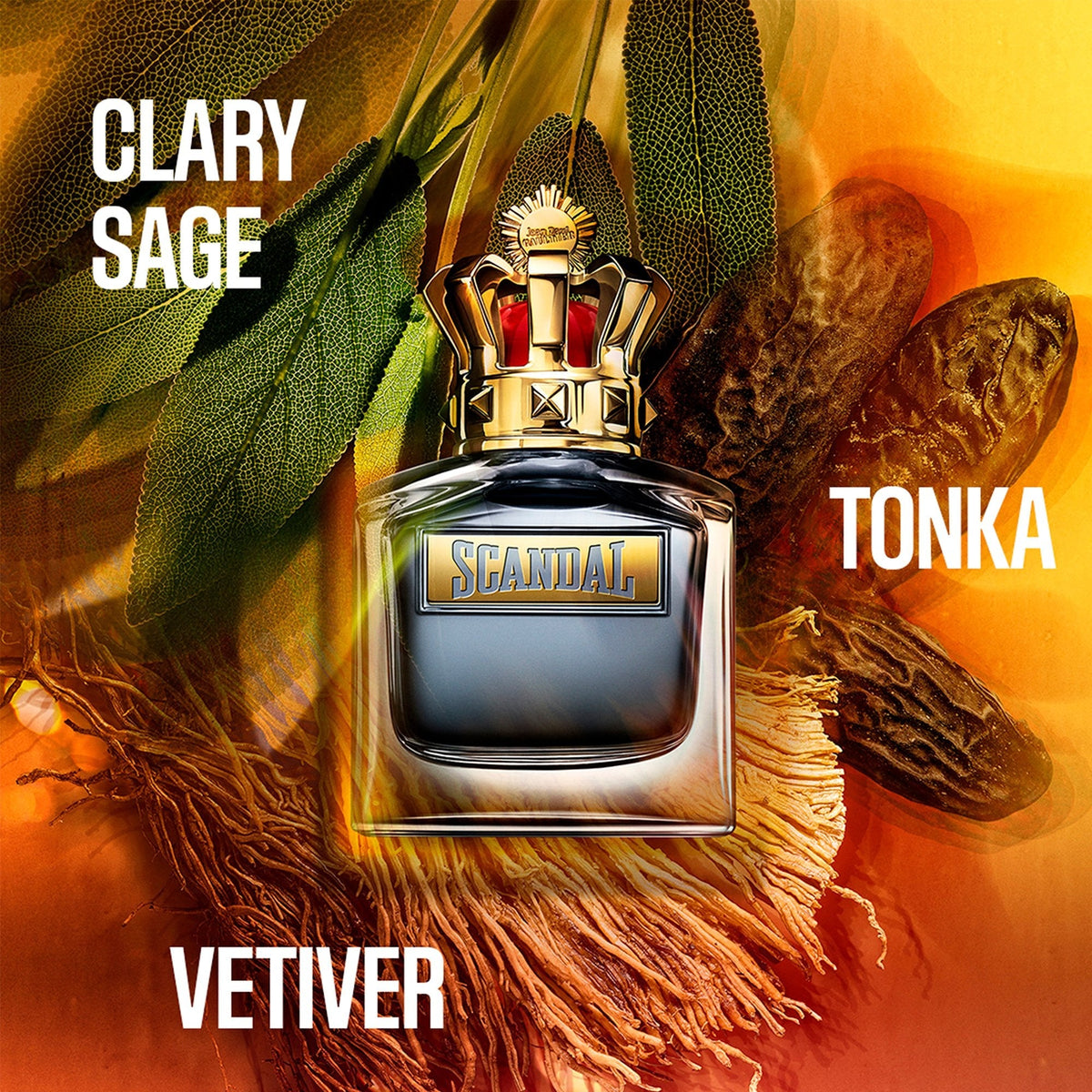 Jean Paul Gaultier Scandal Pour Homme Eau De Toilette 50ml Spray - Tophatter Daily Deals