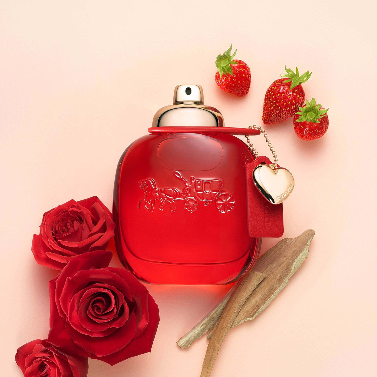 Coach Love Eau De Parfum 30ml Spray - Tophatter Daily Deals
