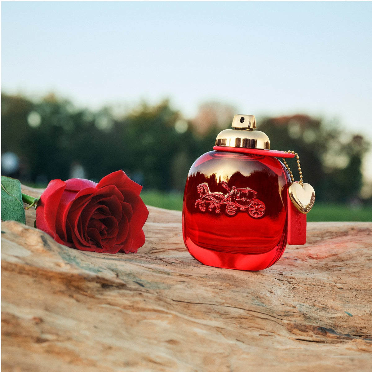 Coach Love Eau De Parfum 30ml Spray - Tophatter Daily Deals