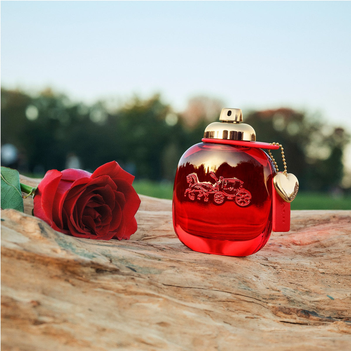 Coach Love Eau De Parfum 50ml Spray - Tophatter Daily Deals