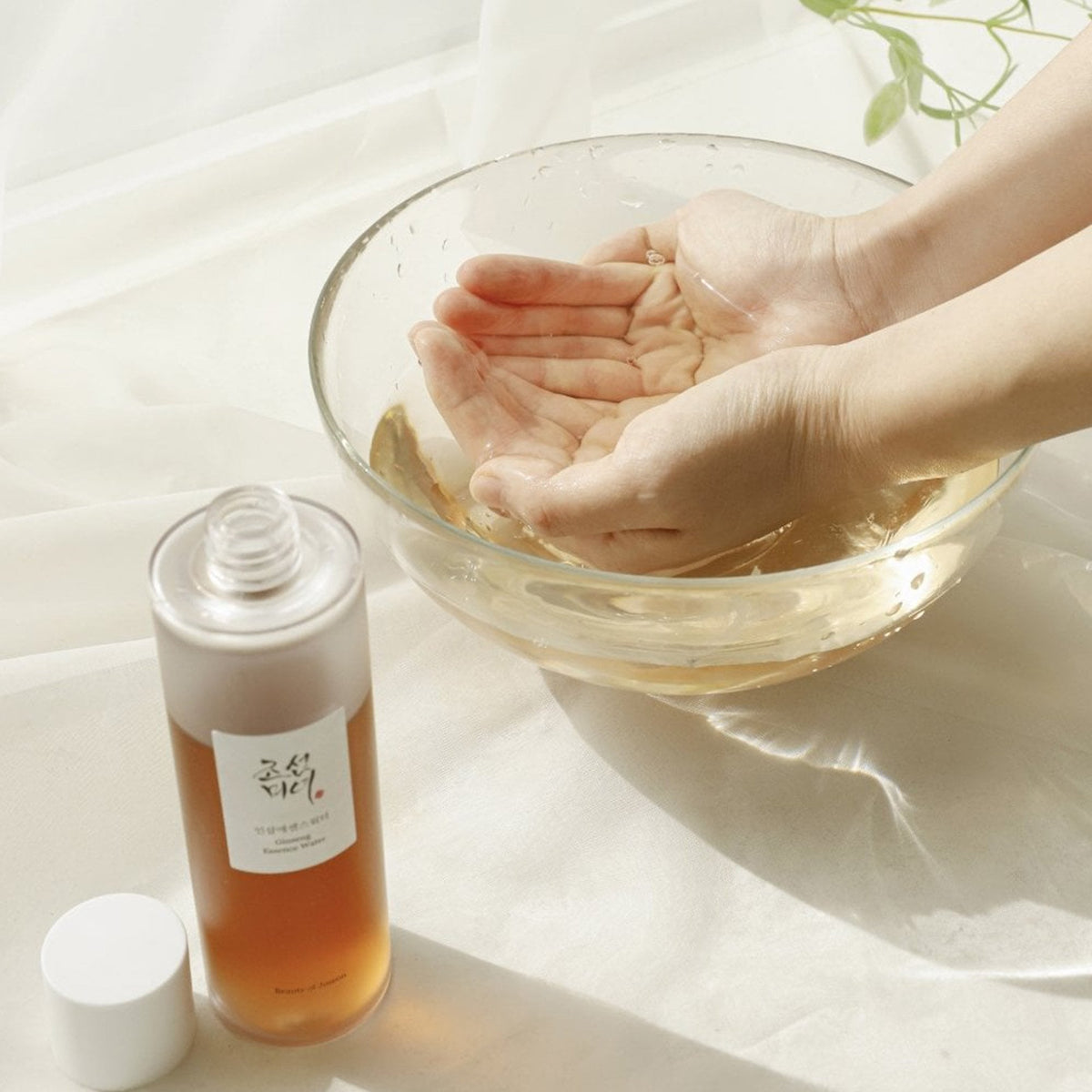 Beauty of Joseon Ginseng Essence Water 150ml Bottle - Tophatter Daily Deals