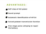 Automobile Battery Charger 12V24V 0 - Tophatter Daily Deals