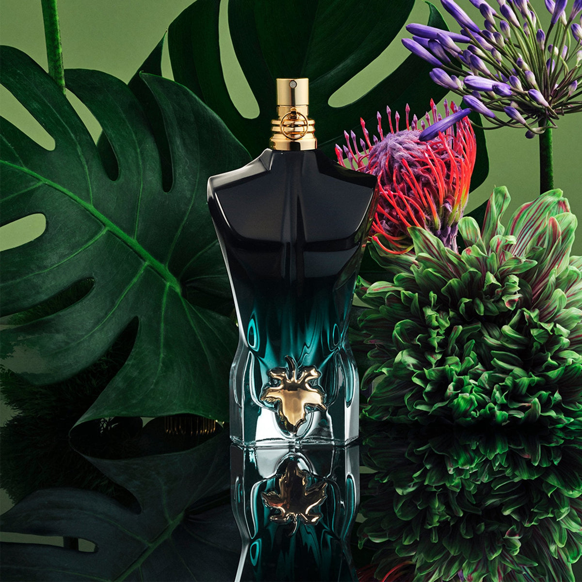 Jean Paul Gaultier Le Beau Le Parfum Eau De Parfum 75ml Spray - Tophatter Daily Deals