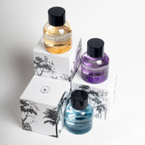Paris Bleu Candide Spotless Mind Eau De Parfum 100ml Spray - Tophatter Daily Deals
