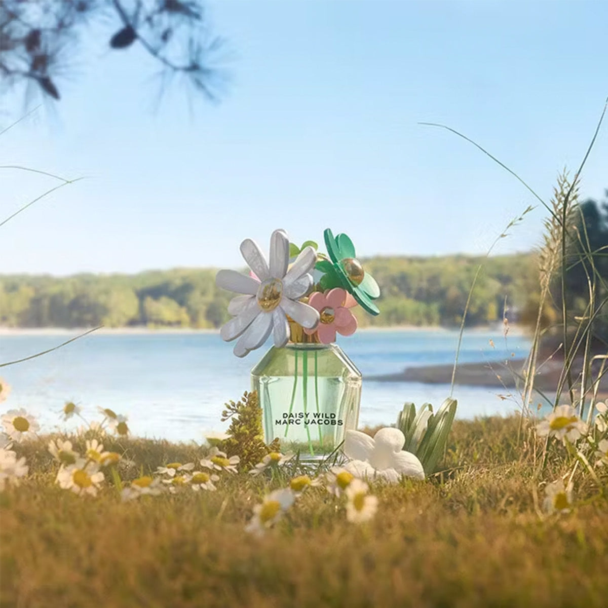 Marc Jacobs Daisy Wild Eau De Parfum 100ml Spray - Tophatter Daily Deals