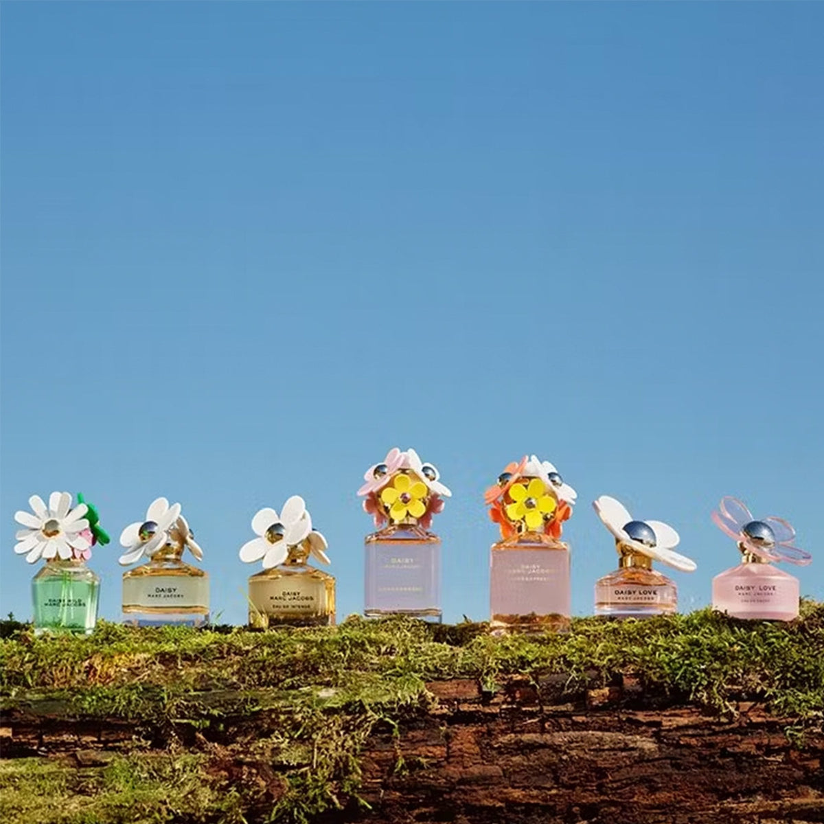 Marc Jacobs Daisy Wild Eau De Parfum 100ml Spray - Tophatter Daily Deals