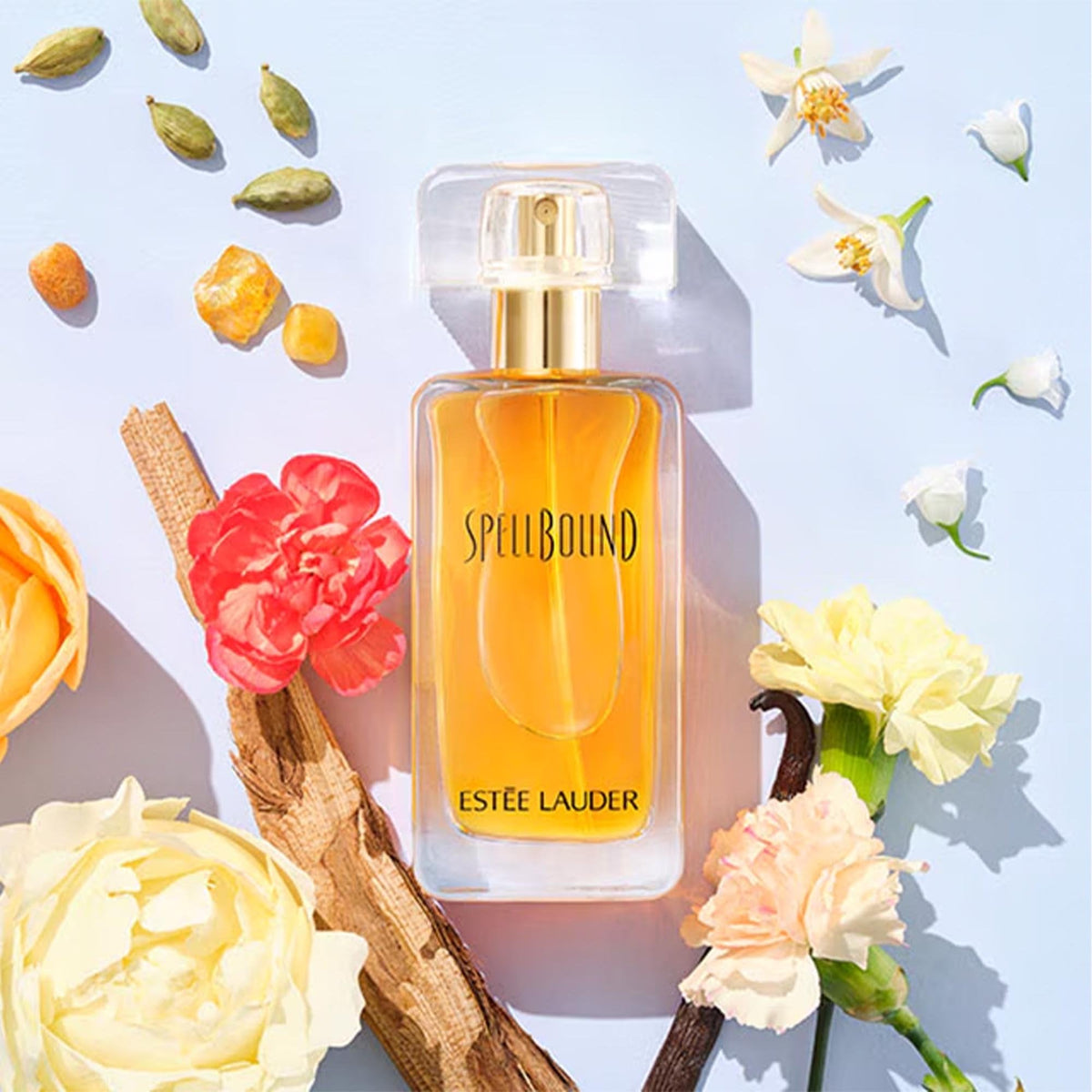 SpellBound Eau De Parfum 50ml Spray - Tophatter Daily Deals