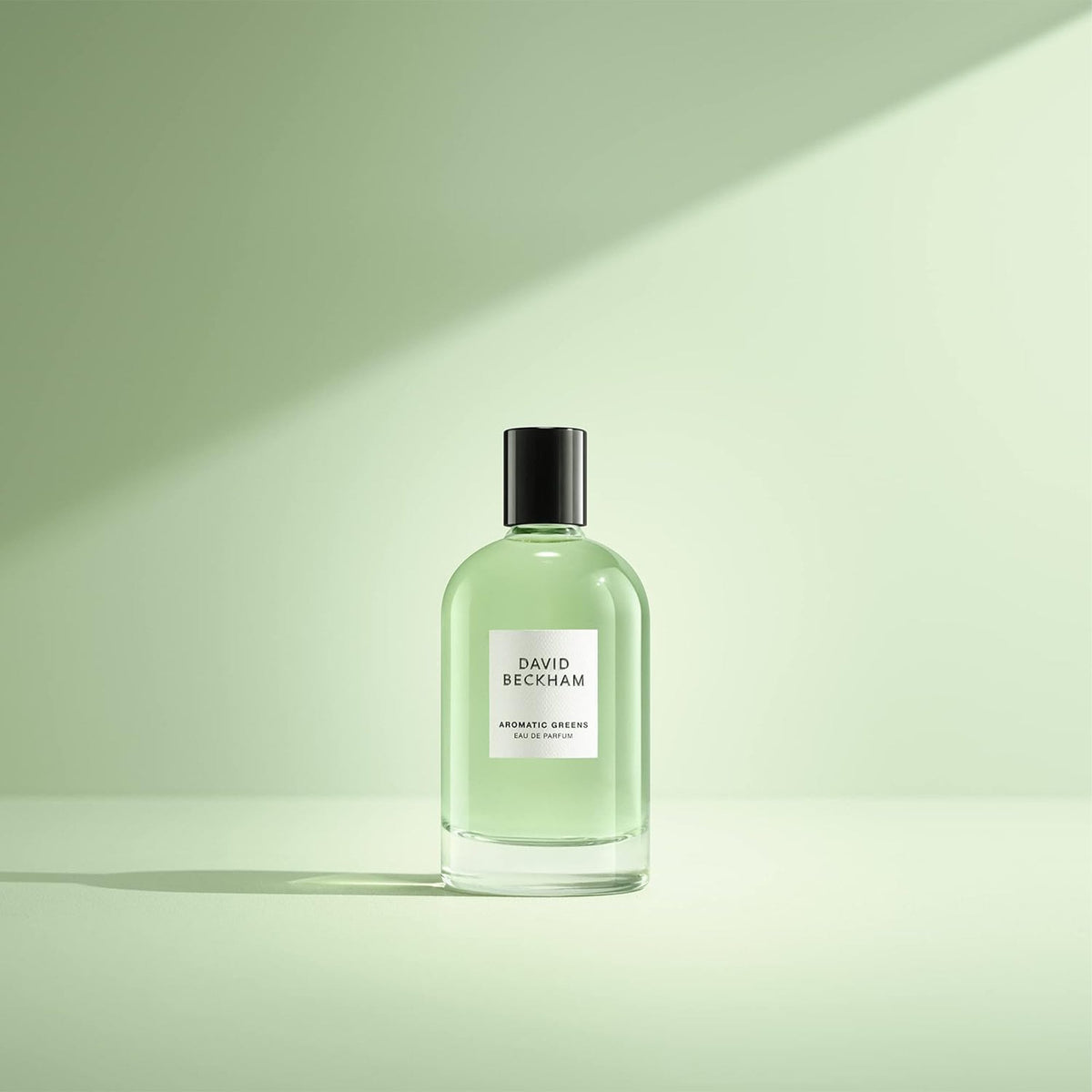 David Beckham Aromatic Greens Eau De Parfum 100ml Spray - Tophatter Daily Deals