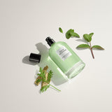 David Beckham Aromatic Greens Eau De Parfum 100ml Spray - Tophatter Daily Deals