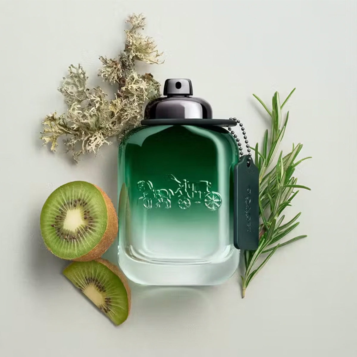 Coach Green Eau De Toilette 100ml Spray - Tophatter Daily Deals
