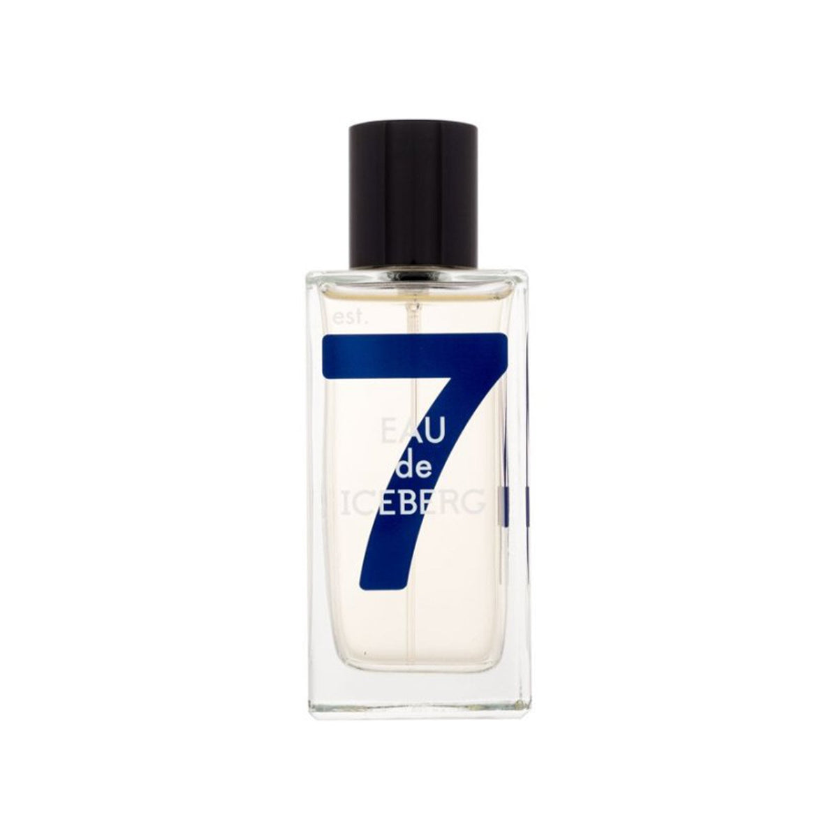 Eau De ICEBERG For Him Cedar Eau De Toilette 100ml Spray Default Title - Tophatter Daily Deals