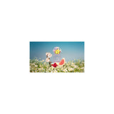 Marc Jacobs Daisy Eau So Fresh Eau De Toilette 30ml Spray - Tophatter Daily Deals