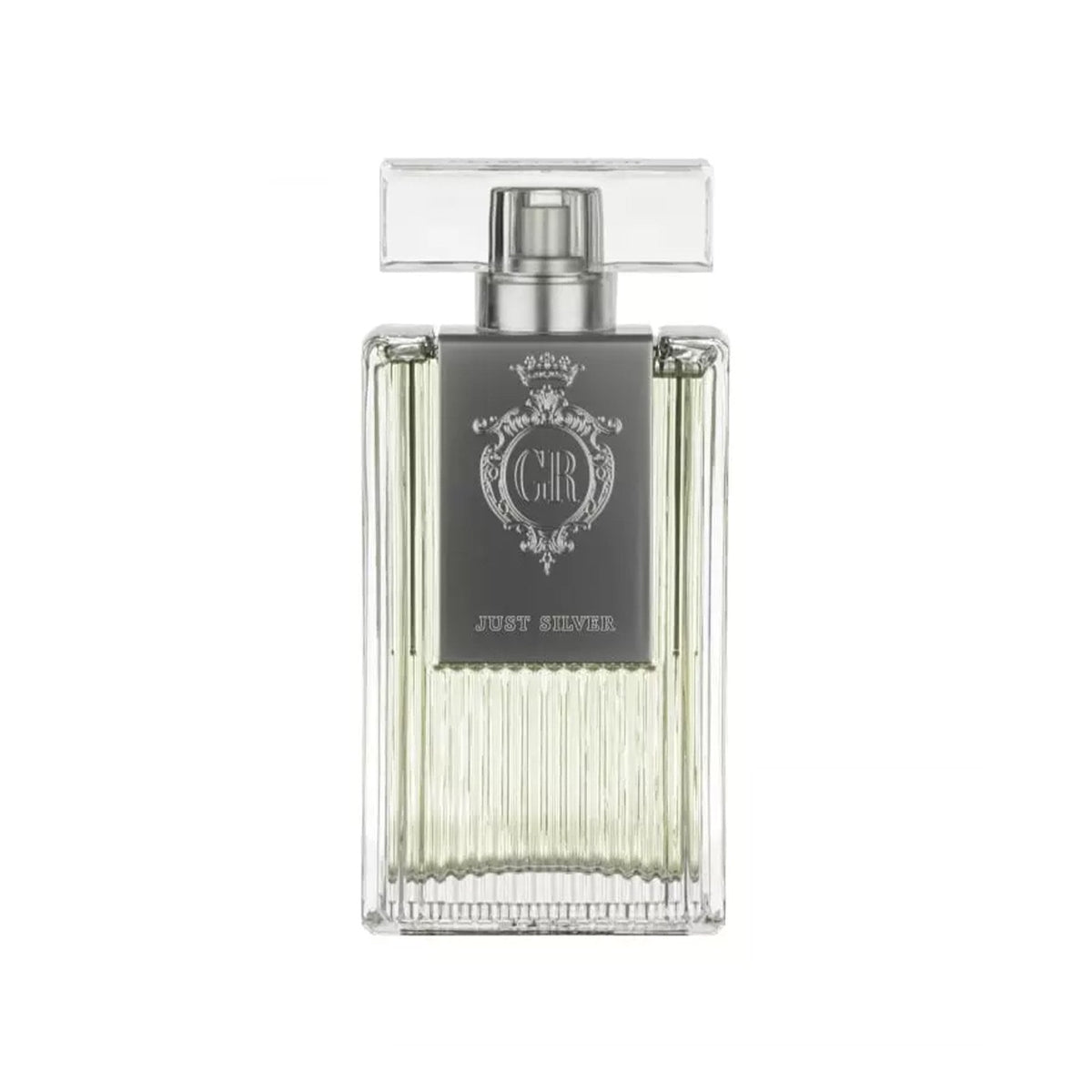 Georges Rech Just Silver Eau De Parfum 100ml Spray Default Title - Tophatter Daily Deals