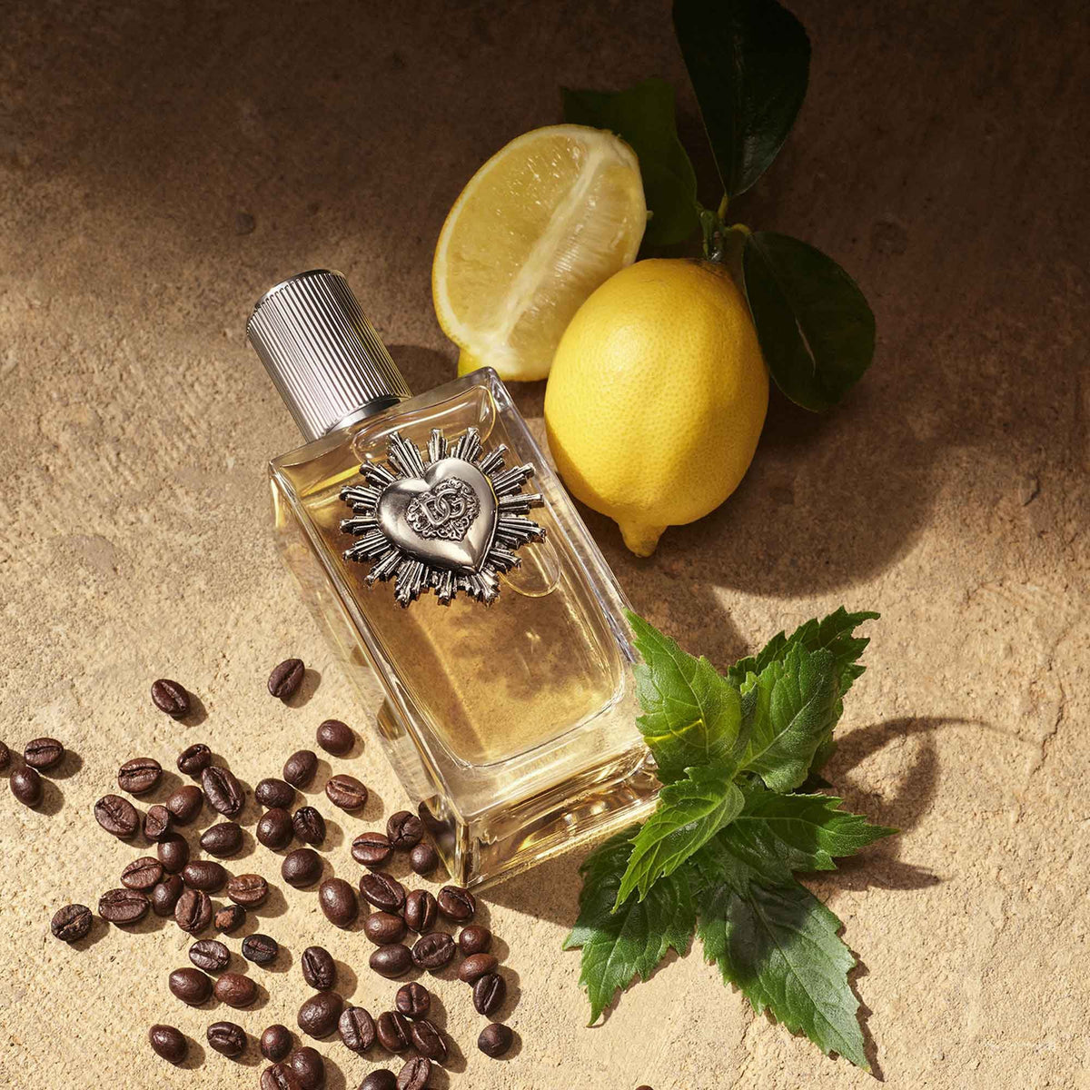 Dolce & Gabbana Devotion Pour Homme Eau De Parfum 50ml Spray - Tophatter Daily Deals