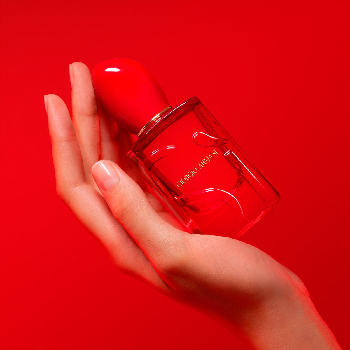 Giorgio Armani Si Passione Red Musk Eau De Parfum 100ml Spray - Tophatter Daily Deals