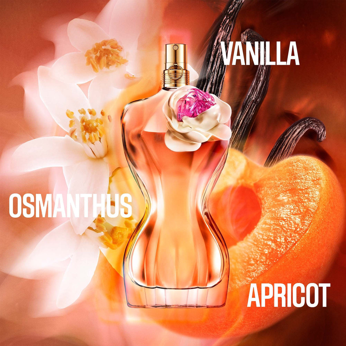 Jean Paul Gaultier Le Belle Flower Edition Eau De Parfum 100ml Spray - Tophatter Daily Deals