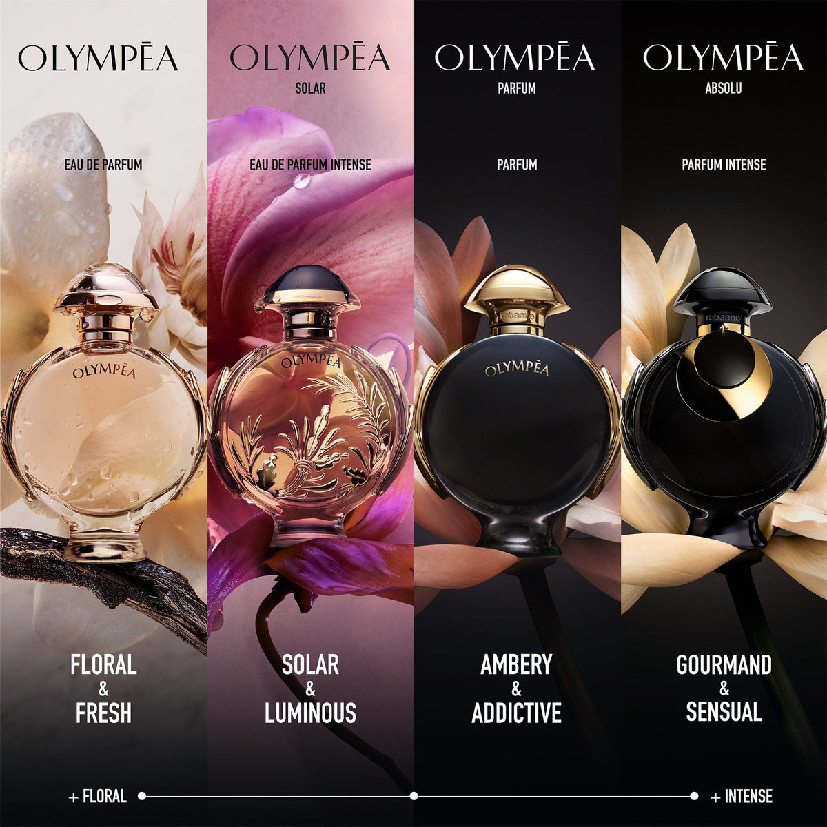 Rabanne Olympéa Absolu Parfum Intense 30ml Spray - Tophatter Daily Deals
