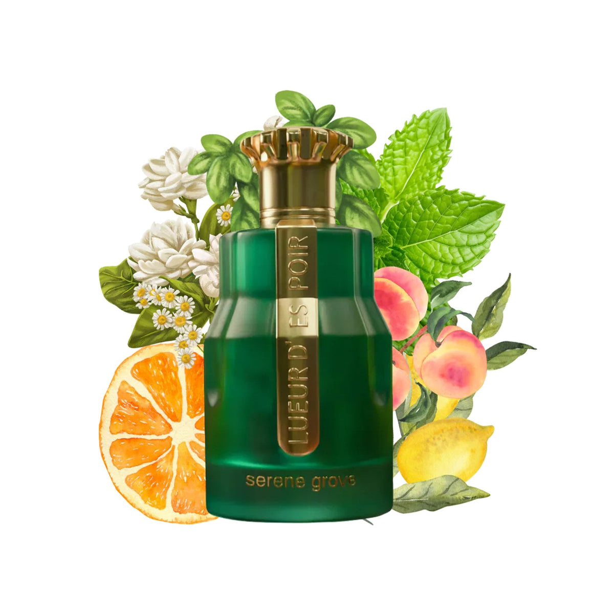 Emir Lueur D'Espoir Serene Grove Eau De Parfum 100ml Spray - Tophatter Daily Deals
