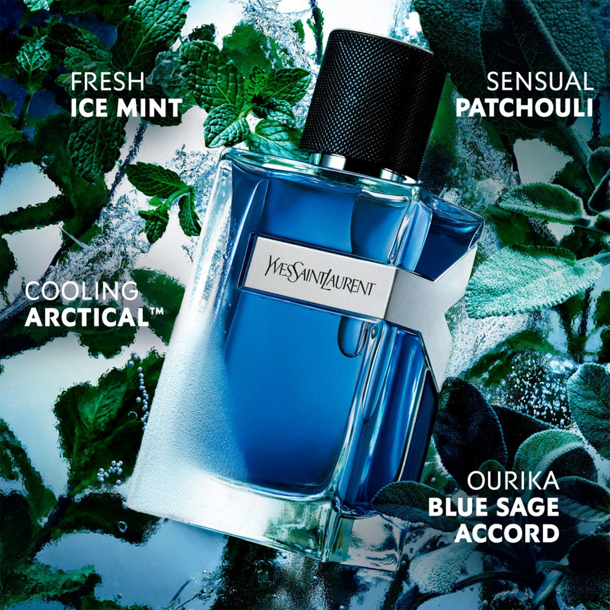YSL Y Iced Eau De Toilette 60ml Spray - Tophatter Daily Deals