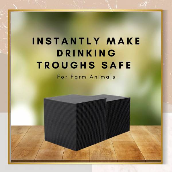 Water Purifier Bio Cube For Livestock Aquarium Trough - Tophatter Daily Deals