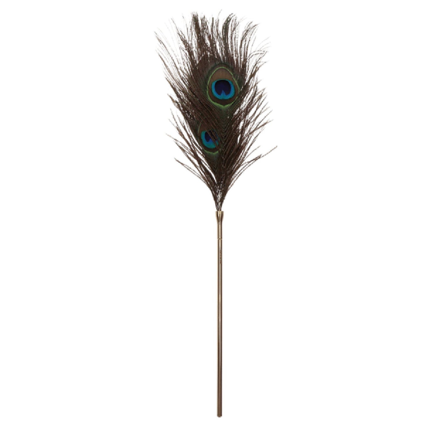 Taboom Dona Peacock Tickler – Elegant Feather Sensation Toy > Bondage Gear > Ticklers - Tophatter Daily Deals