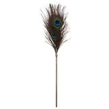 Taboom Dona Peacock Tickler – Elegant Feather Sensation Toy > Bondage Gear > Ticklers - Tophatter Daily Deals