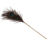 Taboom Dona Peacock Tickler – Elegant Feather Sensation Toy > Bondage Gear > Ticklers - Tophatter Daily Deals