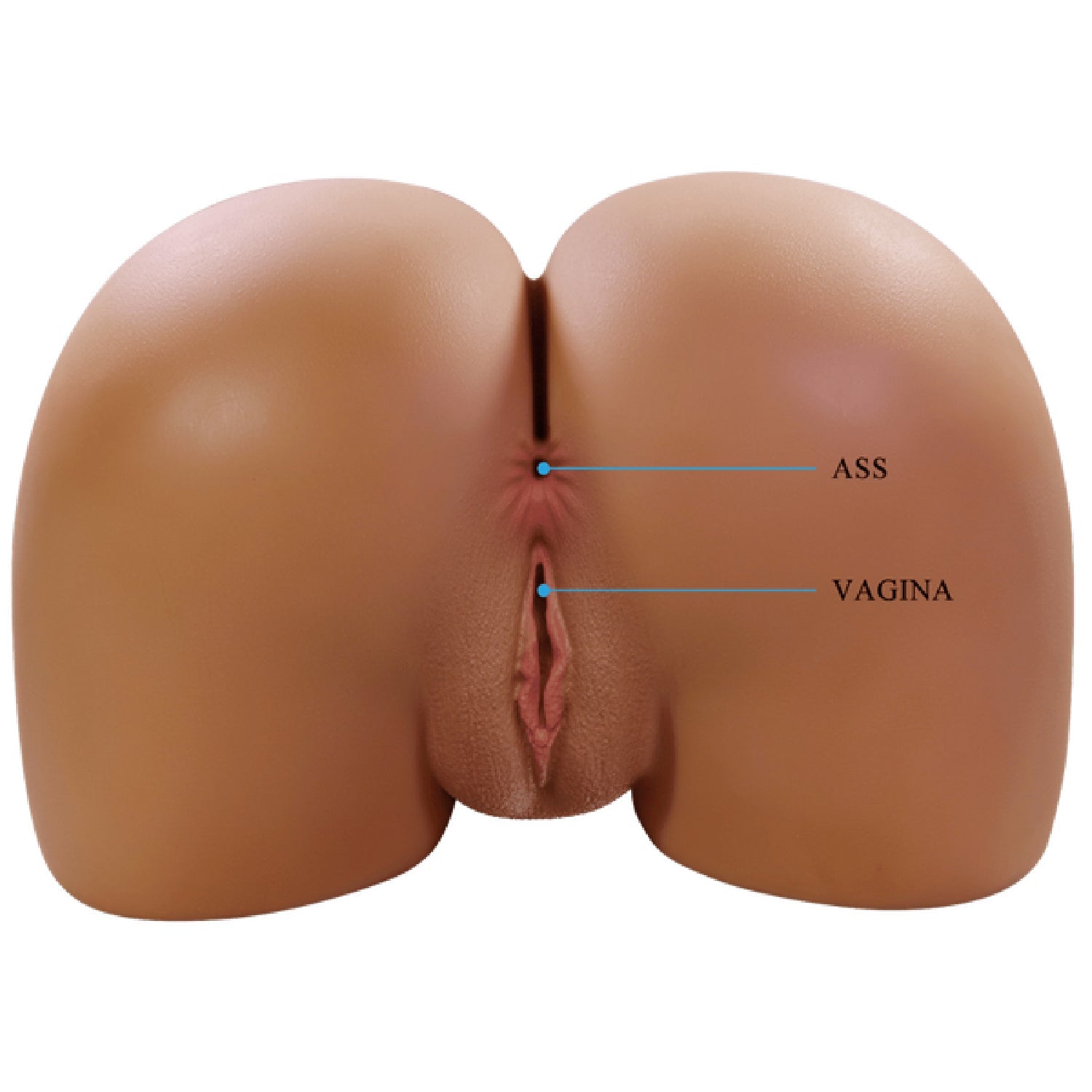 Wendy Vagina and Anal Masturbator – Realistic 3D Petite Pelvis Masturbator > Sex Toys For Men > Assbators - Tophatter Daily Deals