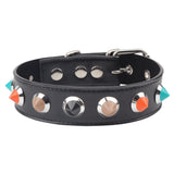 Collar With Thorns – Adjustable Collar Accessory > Bondage Gear > Collars & Leashes - Tophatter Daily Deals