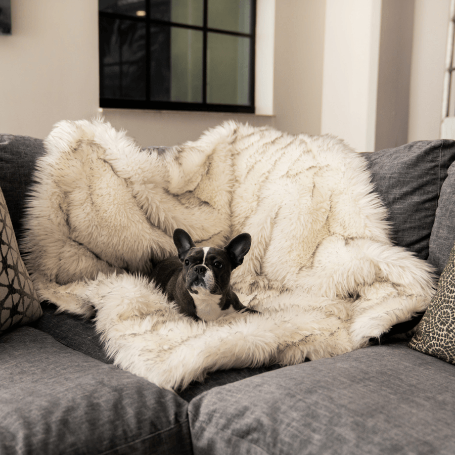 PupProtector™ Waterproof Throw Blanket - White with Brown Accents Pet Supplies - Tophatter Daily Deals