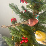 Natural Feathered Pheasant Clip-On Decoration | Christmas Tree Ornament - 22cm Baubles - Tophatter Daily Deals