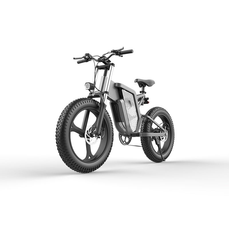 20 Inch 48V New National Standard Off-road Electric Bicycle Assistance 0 - Tophatter Daily Deals