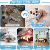 Series Dog Chew Toy Set (16pcs) Dog Supplies - Tophatter Daily Deals