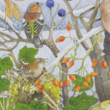 Birds in Winter Christmas Advent Calendar with Sound | Birdsong Advent Calendar Advent Calendar - Tophatter Daily Deals