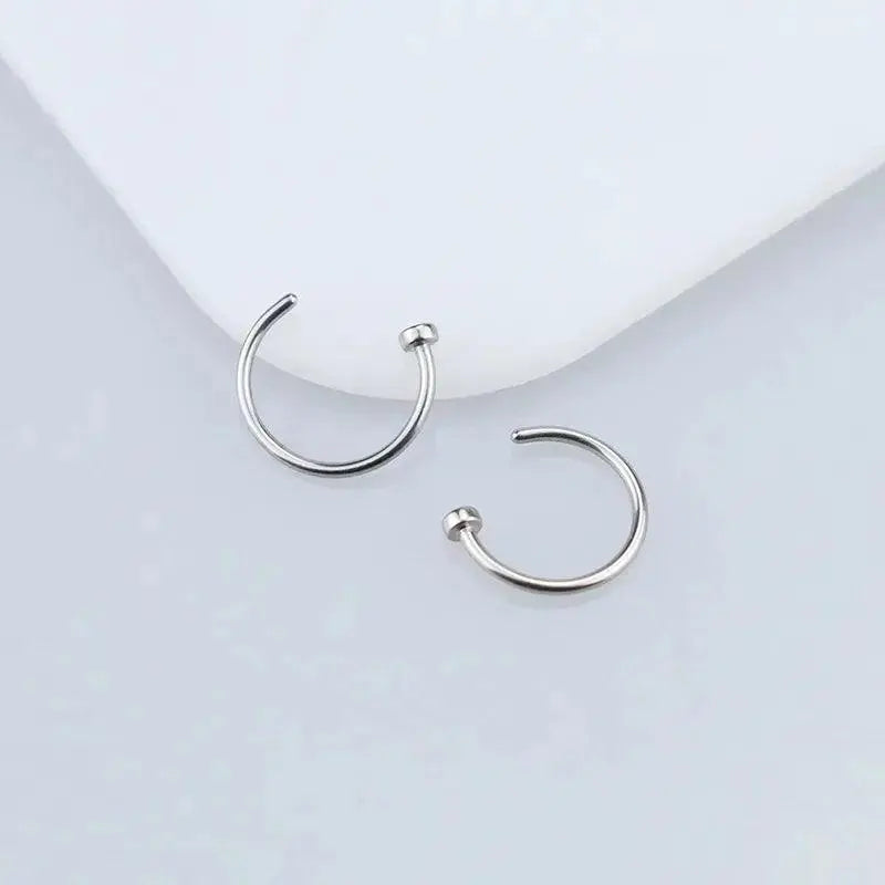 2/6Pcs Fake Nose Rings for Women, 316L Stainless Steel Lip Rings Labret Ring Nostril Hoop Piercing Studs Nose Piercing Jewelry - Tophatter Daily Deals