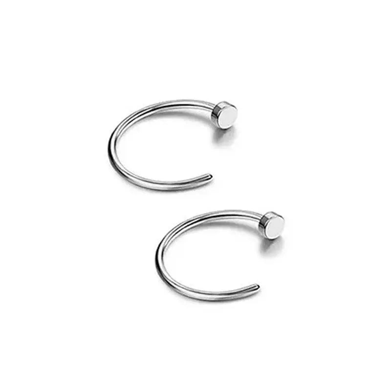 2/6Pcs Fake Nose Rings for Women, 316L Stainless Steel Lip Rings Labret Ring Nostril Hoop Piercing Studs Nose Piercing Jewelry B2-2Pcs-Silvery - Tophatter Daily Deals
