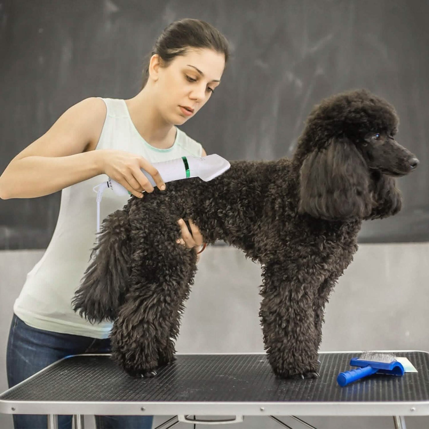 2-in-1 Multifunctional Pet Grooming Hair Dryer Pet Supplies - Tophatter Daily Deals