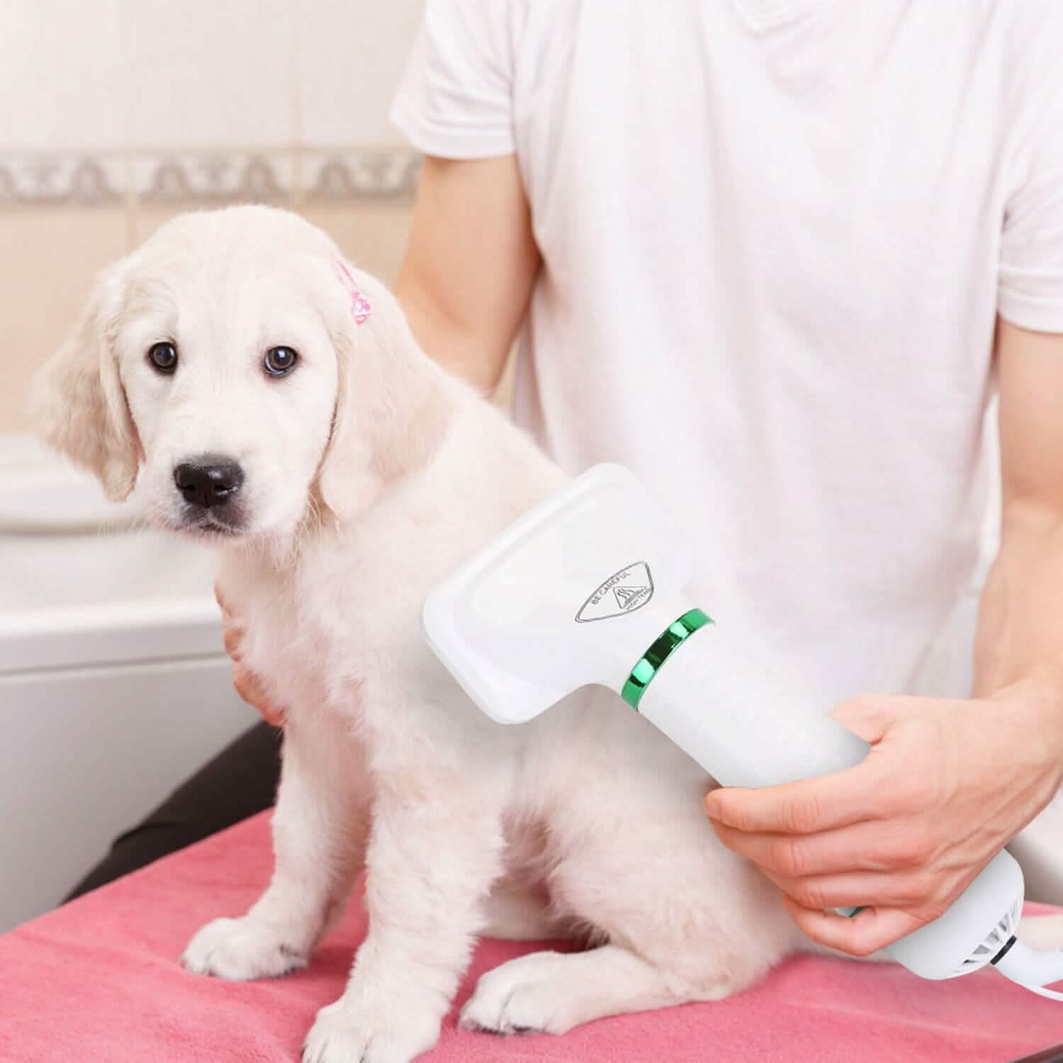2-in-1 Multifunctional Pet Grooming Hair Dryer Pet Supplies - Tophatter Daily Deals