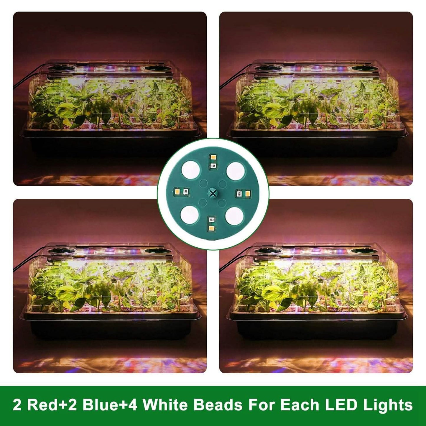 2-Pack: 40 Cell Seed Starting Tray Plant Grow Light with 4 Adjustable Brightness Garden & Patio - Tophatter Daily Deals