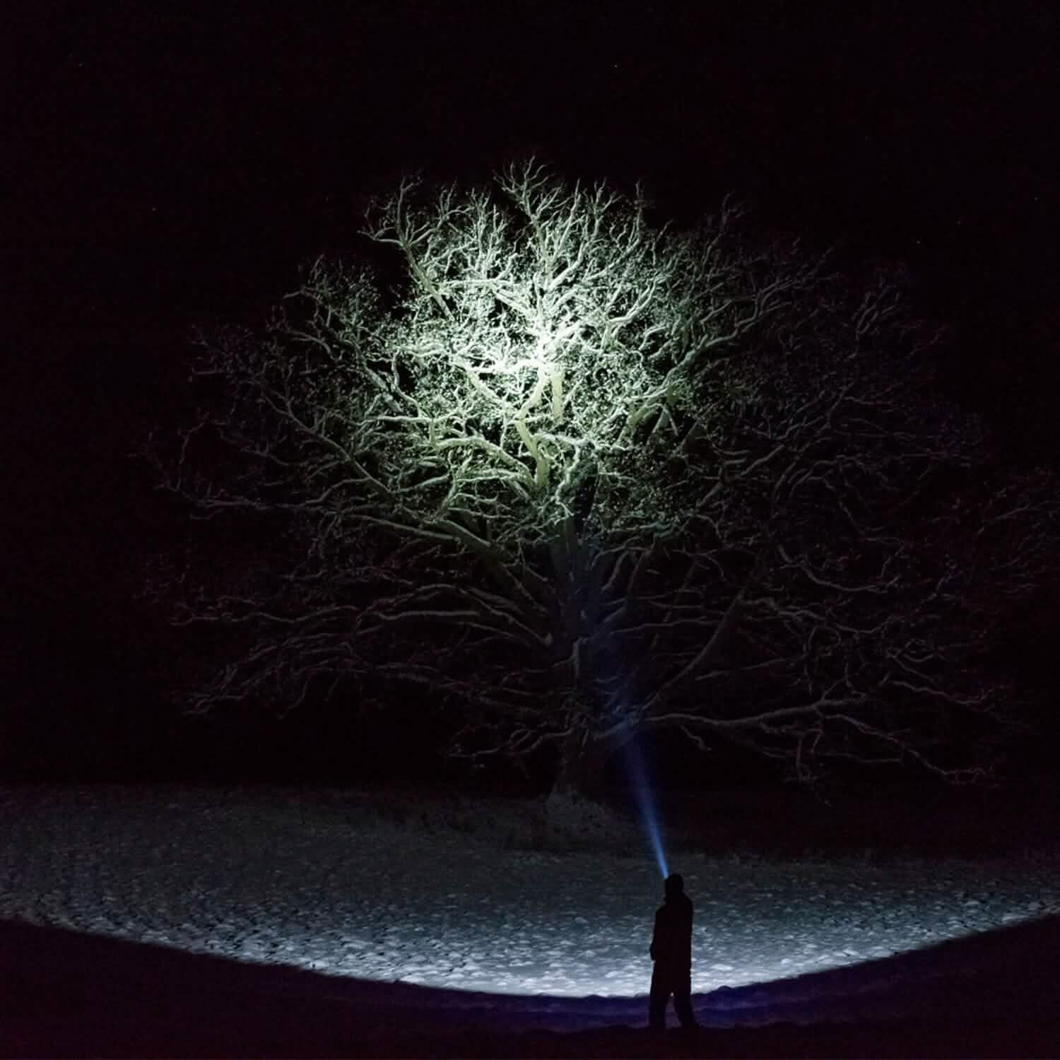 2-Pack: Hand Crank Solar Powered Flashlight Outdoor Recreation - Tophatter Daily Deals