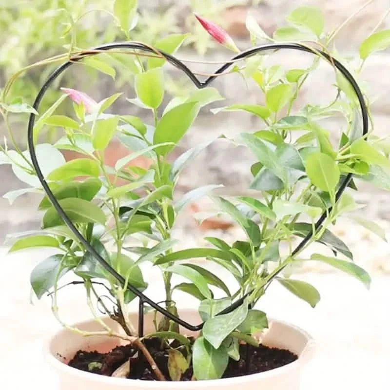 2-Pack: Heart-Shaped Plant Support Stake Garden & Patio - Tophatter Daily Deals